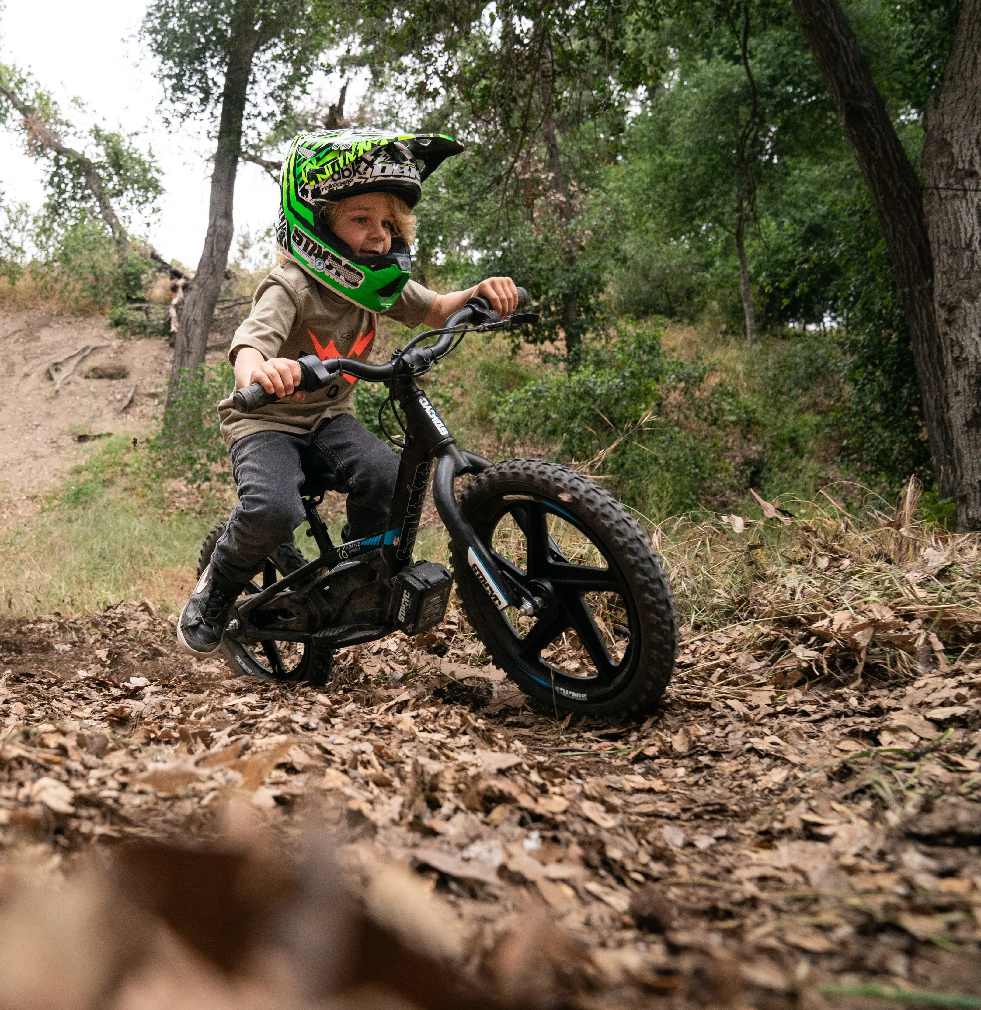 STACYC 16eDRIVE BRUSHLESS - Image 9