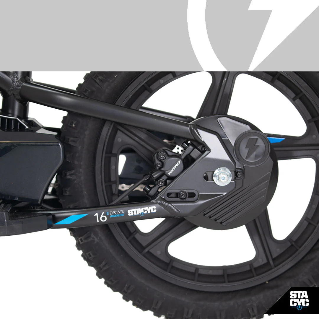 STACYC 16eDRIVE ELITE 36V - Image 11